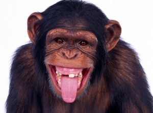 MonkeyLaugh