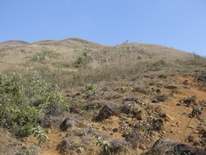 PhongThuy11