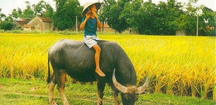 Như Trâu – Trần Văn Giang