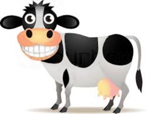 Cow