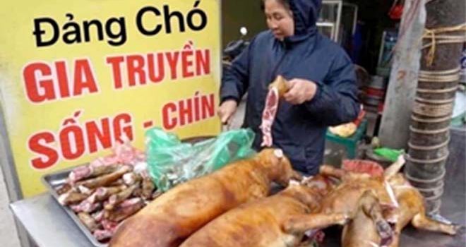“Đảng Chó” – Trần Văn Giang (ghi lại)