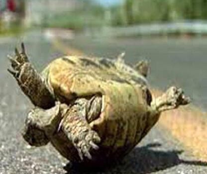 Tiếng Anh “ba rọi” – Đào Văn Bình